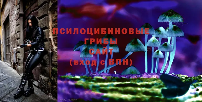 Псилоцибиновые грибы Magic Shrooms  Бийск 